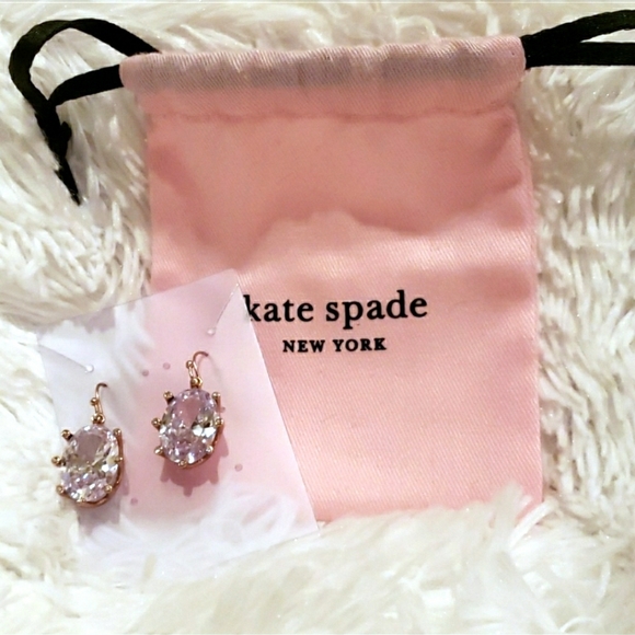 NIB Kate Spade Oval Drop Earrings
